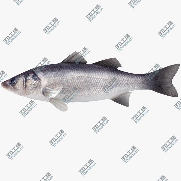 images/goods_img/20210312/Seabass (Animated)/1.jpg